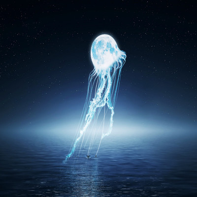 アルバム/Water On The Moon/Shiroharu Luna