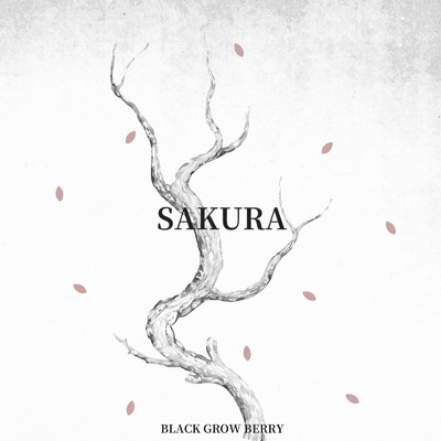 シングル/SAKURA/BLACK GROW BERRY