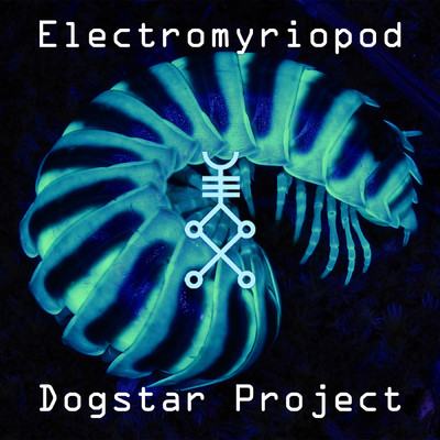 シングル/Electromyriopod/Dogstar Project