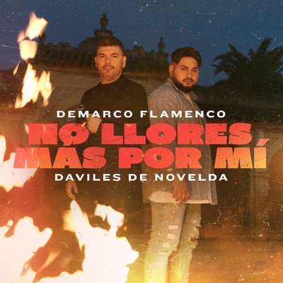 No Llores Mas por Mi/Demarco Flamenco