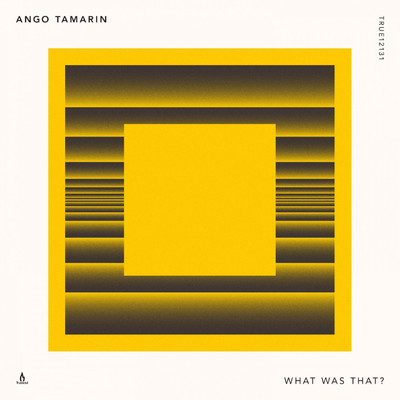 What Was That？/Ango Tamarin