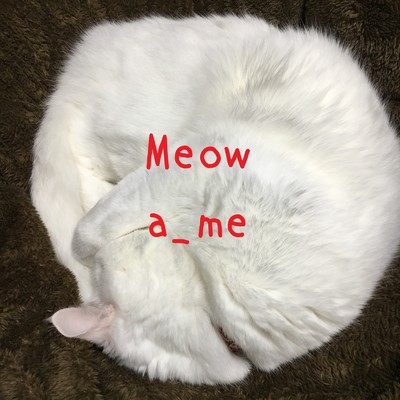シングル/Meow/a_me