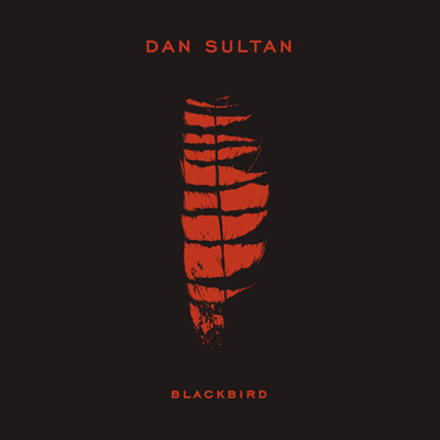 アルバム/Blackbird/Dan Sultan