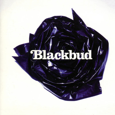 Blackbud/Blackbud