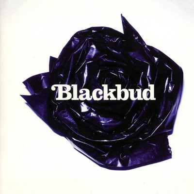 シングル/Darkness/Blackbud