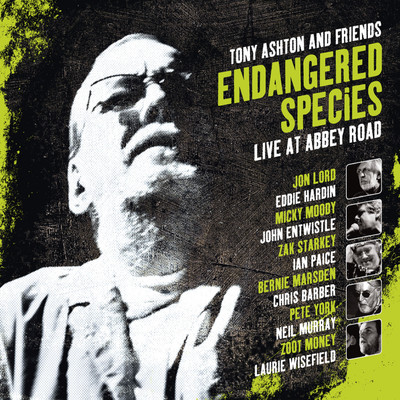 Endangered Species (Tony Ashton & Friends Live at Abbey Road)/Various Artists