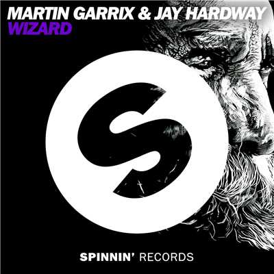 シングル/Wizard (Radio Edit)/Martin Garrix & Jay Hardway