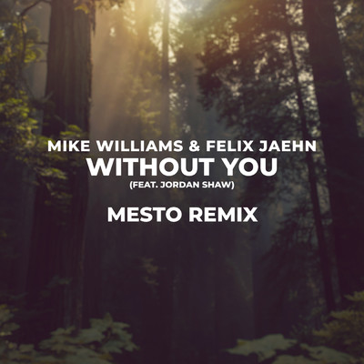 シングル/Without You (featuring Jordan Shaw)/Mike Williams／フェリックス・ジェーン