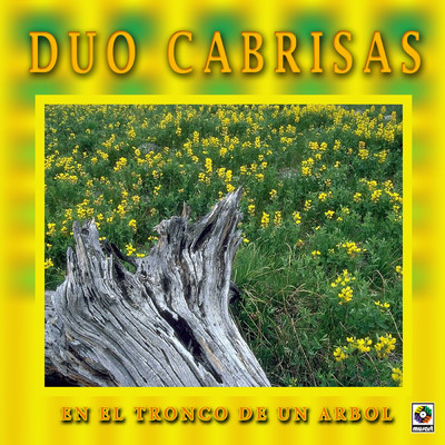 シングル/Con Las Alas Rotas/Duo Cabrisas