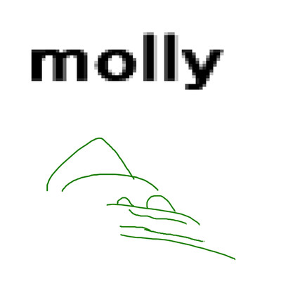 molly/岡柴