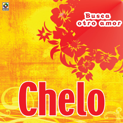 Busca Otro Amor/Chelo