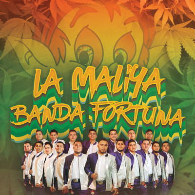 La Maliya/Banda Fortuna