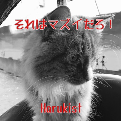 花吹雪/Harukist