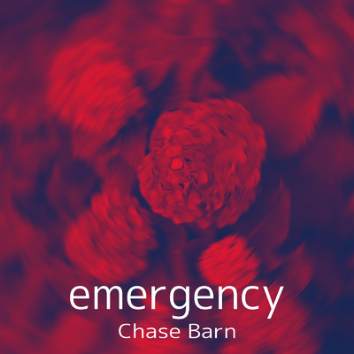 シングル/Digital change/Chase Barn