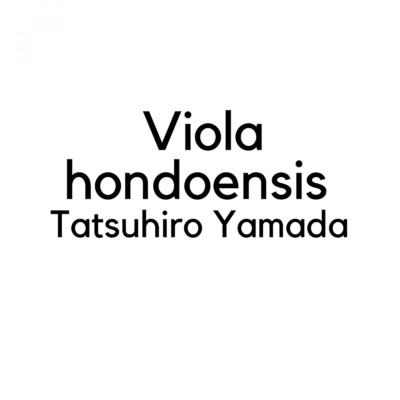 シングル/Viola hondoensis/山田龍博
