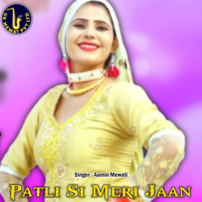 アルバム/Patli Si Meri Jaan/Aslam Mewati, Asmeena Mewati & Aamin Mewati