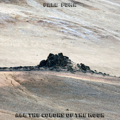 シングル/All The Colors Of The Moon/Pale Puma