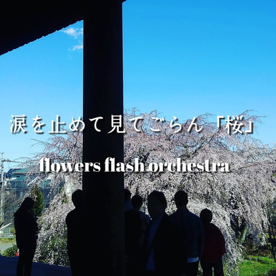 シングル/涙を止めて見てごらん「桜」/flowers flash orchestra