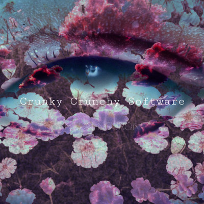 アルバム/Crunky Crunchy Software/ネオンネウロン