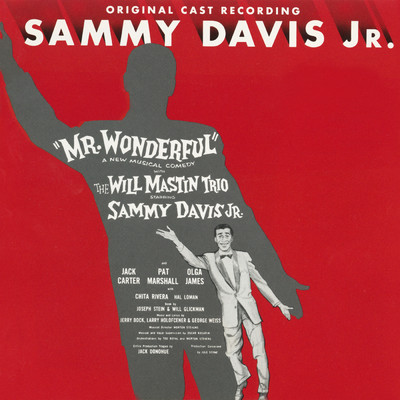 Mr. Wonderful (1956 Broadway Cast Recording)/Various Artists