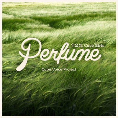 Perfume/YANG YO SEOP & Cube Girls