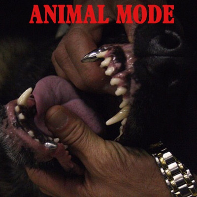 シングル/Animal Mode/valleygawd