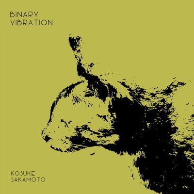 アルバム/Binary Vibration/Kosuke Sakamoto