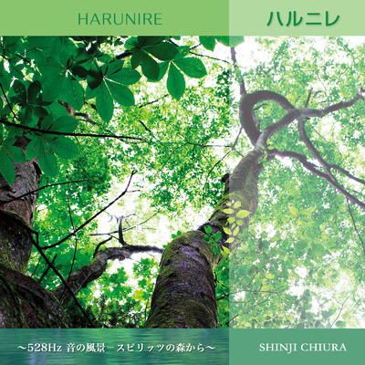 アルバム/ハルニレ ～音の風景 -スピリッツの森から～/知浦 伸司