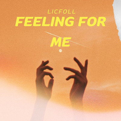 feeling for me/licfoll