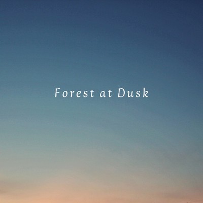 シングル/Forest at Dusk/倉井夏樹