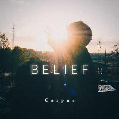 BELIEF/Carpus