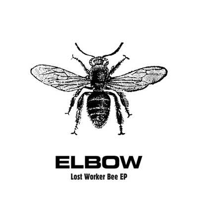 アルバム/Lost Worker Bee - EP/エルボー