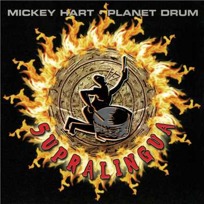 シングル/Space Dust (Album Version)/Mickey Hart