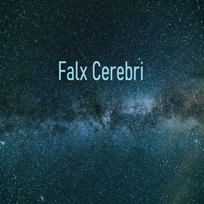 アルバム/Falx Cerebri/Vermis ego