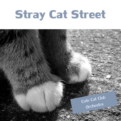 Stray Cat Street/Cute Cat Club Orchestra