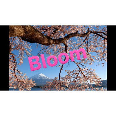 Bloom/ponly