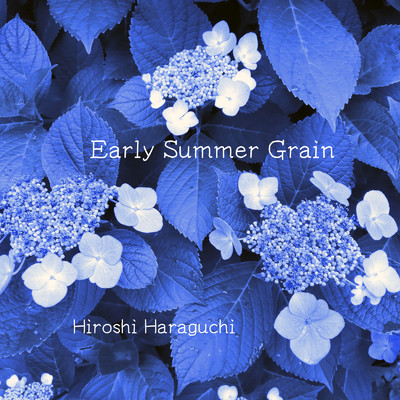 Early Summer Grain/Hiroshi Haraguchi