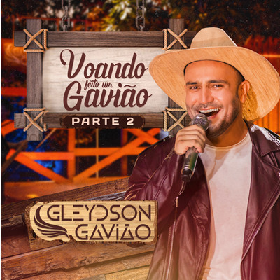 アルバム/Voando Feito Um Gaviao, Pt. 2/Gleydson Gaviao