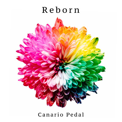 Reborn/Canario Pedal
