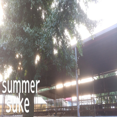 アルバム/summer/suke