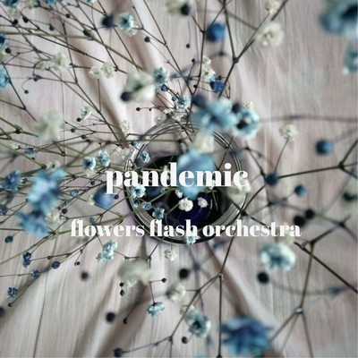 シングル/pandemic/flowers flash orchestra