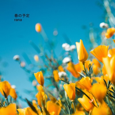 春の予定(オールドバージョン)/rana