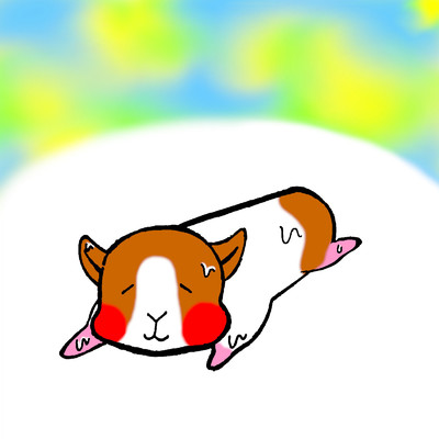 Relax of Guinea pig/Kiryuu Tachibana