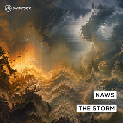 The Storm (Extended Mix)/Naws