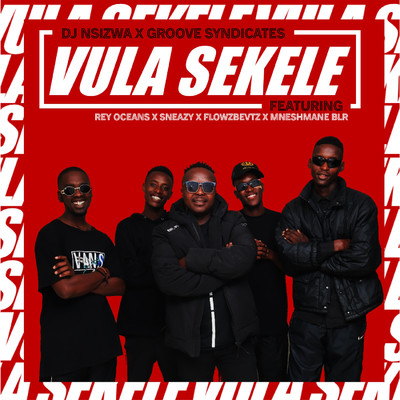 シングル/Vula Sekele (feat. Rey Oceans, Mneshmane Blr, Sneazy & Flowzbevtz)/Dj Nsizwa & Groove Syndicates