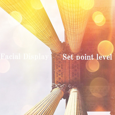 アルバム/Facial Display/Set point level