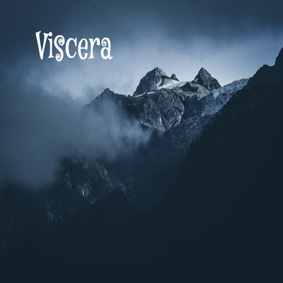 アルバム/Viscera/Fastigial cortex