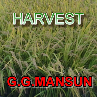 アルバム/HARVEST/G.G.MANSUN