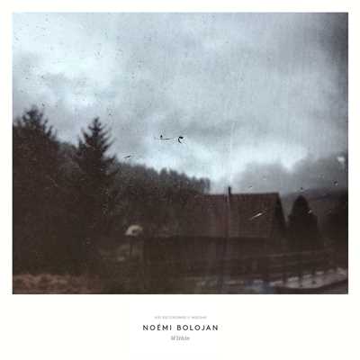 Within/Noemi Bolojan