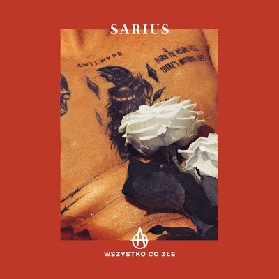Definicja/Sarius